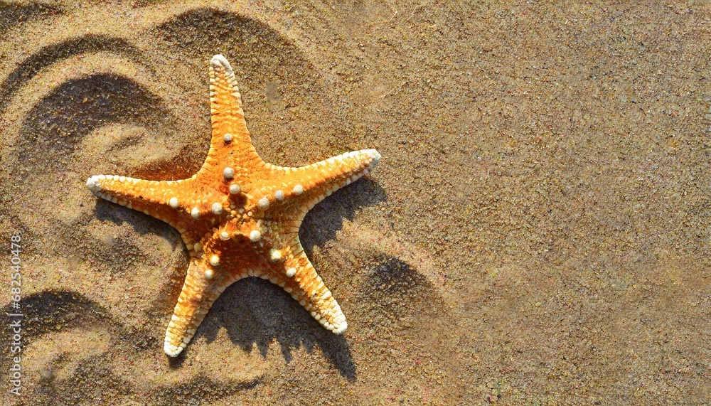 Starfish in the sand. Copy space, flatly. The concept of tourism and recreation Starfish in the sand. Copy space, flatly. The concept of tourism and recreation