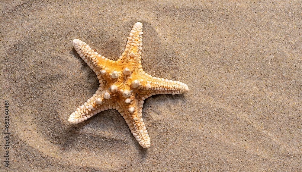 Starfish in the sand. Copy space, flatly. The concept of tourism and recreation Starfish in the sand. Copy space, flatly. The concept of tourism and recreation