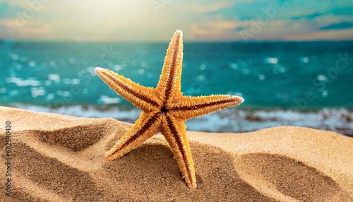 Starfish in the sand. Copy space  flatly. The concept of tourism and recreation