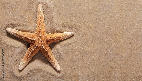 Starfish in the sand. Copy space, flatly. The concept of tourism and recreation