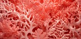 a blank coral paper poster texture, allowing viewers to appreciate its lively and spirited appearance.
