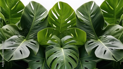 Green leaves UHD wallpaper