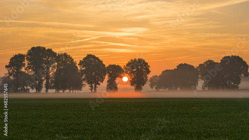 Sonnenaufgang über einer grünen Wiese © jsr548