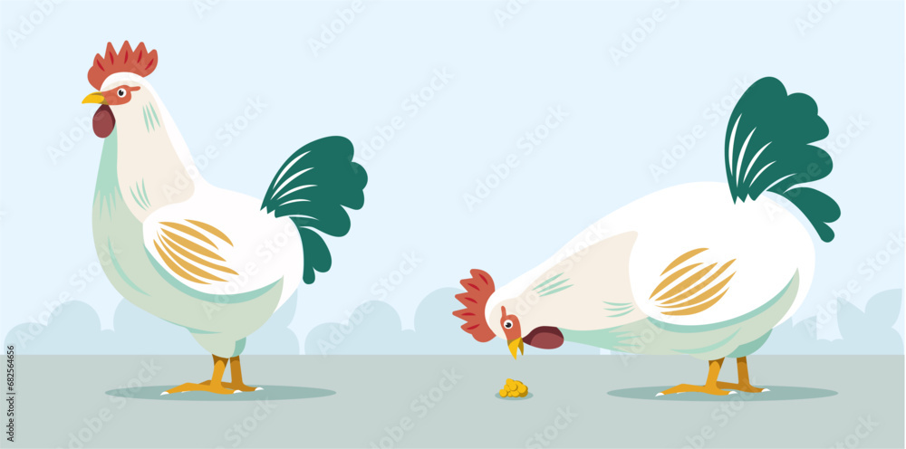 Obraz premium Cock. Hen. Rooster in two positions. 