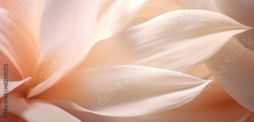 Extreme close-up of delicate flower petals, gentle pastel dark Brown and white and muted blush lime, in the style of botanical photography, depth of field, serene visuals, minimalistic simplicity, © Nasreen