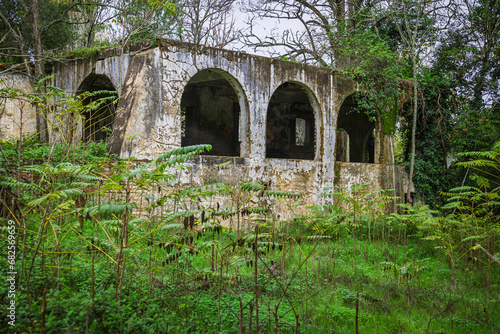 Old abandoned farm house in the woods