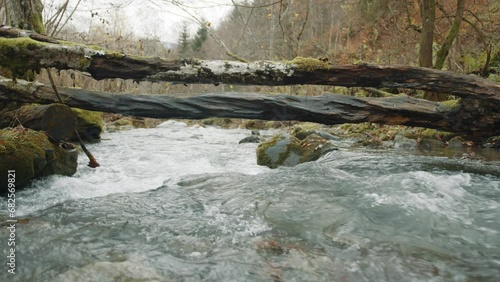 Breathtaking view of wild narrow mountain river flowing fast, washing mossy stones in bleak autumn forest on a gloomy day. Mysterious corners of nature. High quality 4k footage