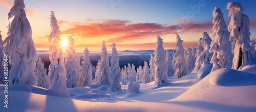 As the sun sets behind the majestic mountains, casting a warm golden light upon the snowy forest, the winter landscape reveals its beauty, with the white snow-covered trees standing tall against the