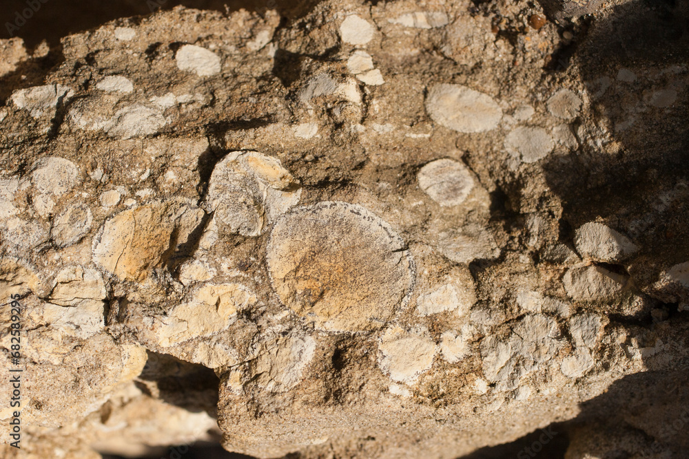 Obraz premium Concretions in volcanic rock with the presence of iron.