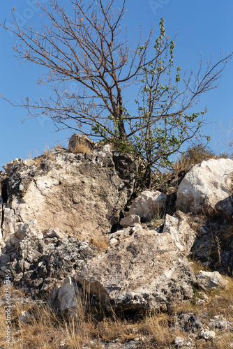 Toltry, Tovtry - mountainous arched limestone ridge stretching above Prut in northern Moldova. photo