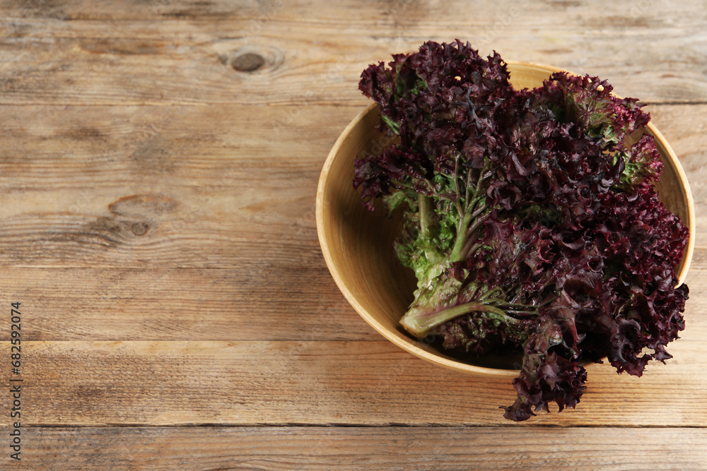 Bowl of fresh red coral lettuce on wooden table, above view with space for text Bowl of fresh red coral lettuce on wooden table, above view with space for text