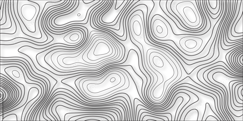 Topographic map white abstract background with contour lines. Black and white abstract background vector, Abstract topographic contours map background Topographic map white abstract background with contour lines. Black and white abstract background vector, Abstract topographic contours map background