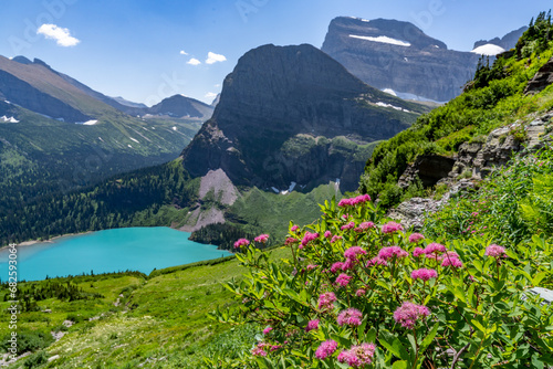 Subalpine spiraea wildflower growing on a slope above an alpine lake and mountains in the background, , Angel Wing and Grinnell Lake, Glacier National Park, Montana photo