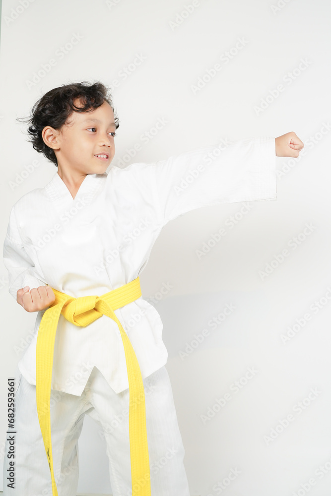 Fighting stance, hitting, parrying, kicking in taekwondo, karate kids, isolated Concept of sport, childhood, martial arts Fighting stance, hitting, parrying, kicking in taekwondo, karate kids, isolated Concept of sport, childhood, martial arts