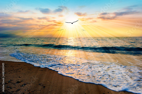 Divine Sunset Ocean Bird Flying Inspirational Uplifting Beautiful Spiritual Ethereal Hope Silhouette Sun Rays #682603411
