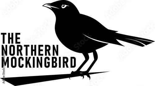 The Northern Mockingbird symbol of Texas Independence Day