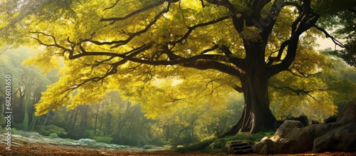 In the heart of the forest, a majestic tree stood tall, adorned with lush green leaves that swayed gently in the autumn breeze, displaying a colorful blend of vibrant yellows and deep greens, filling