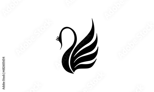 black swan on white background photo