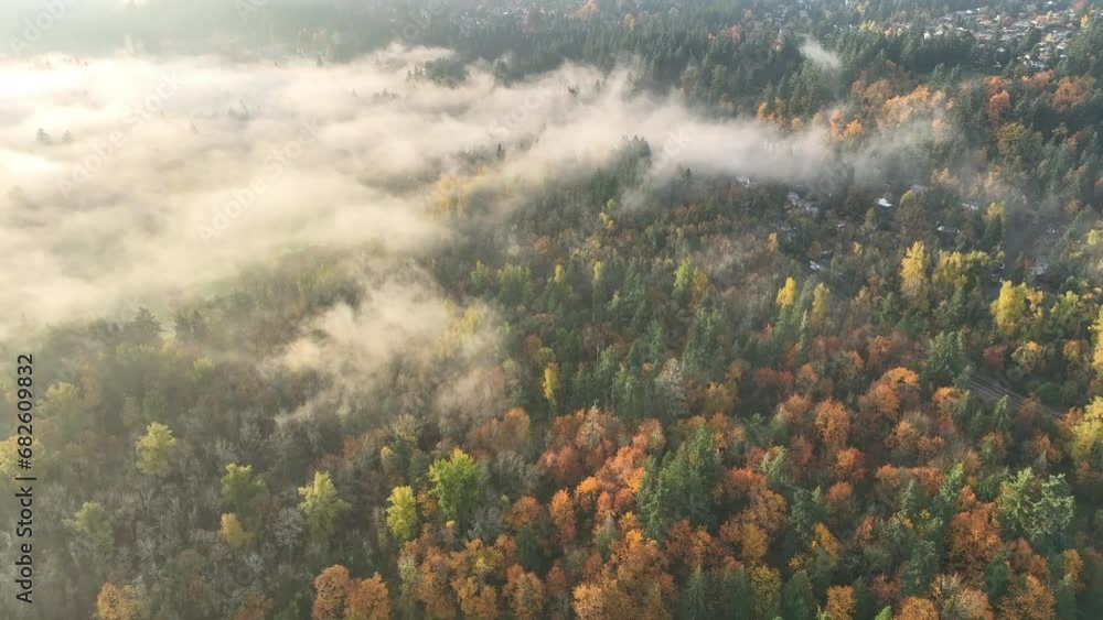 Autumn brings shorter days and cooler weather to Oregon. The leaves of a variety of trees in Oregon's forests change from green to bright, dramatic colors.
