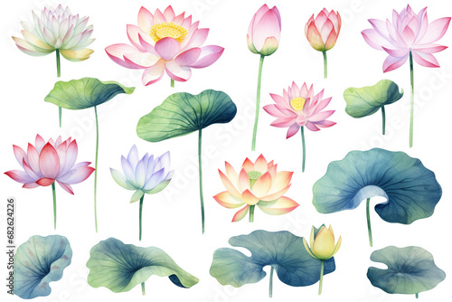 Watercolor paintings Lotus flower symbols On a white background. 