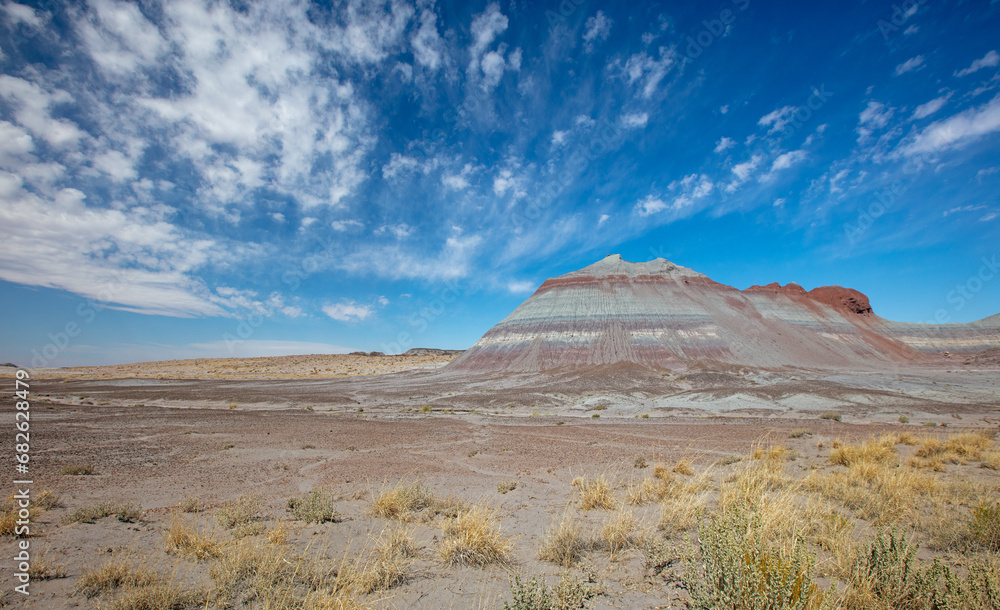 Red and gray eroded desert landscape in Petrified Forest National Park in Arizona United States
