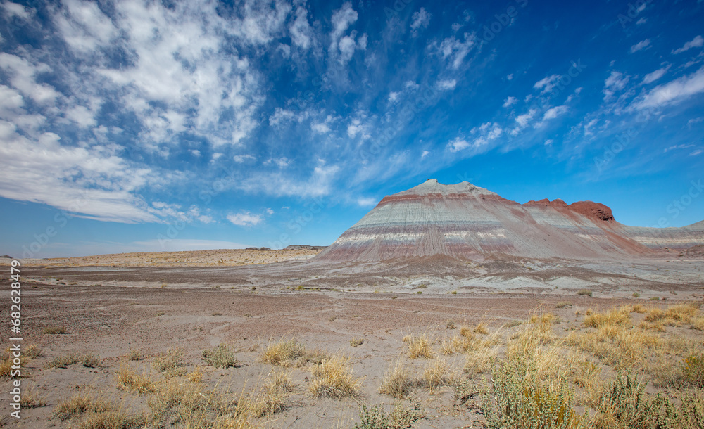 Red and gray eroded desert landscape in Petrified Forest National Park in Arizona United States Red and gray eroded desert landscape in Petrified Forest National Park in Arizona United States