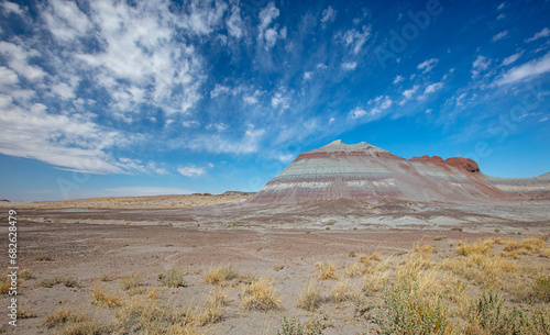 Red and gray eroded desert landscape in Petrified Forest National Park in Arizona United States