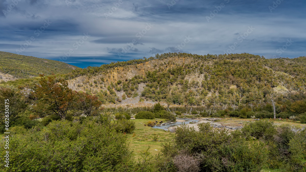 Landscape of Patagonia. The river winds through the valley. The twisted trunks of withered trees are visible on the shore. Wooded mountains against a blue sky and clouds. Argentina. Tierra del Fuego 
