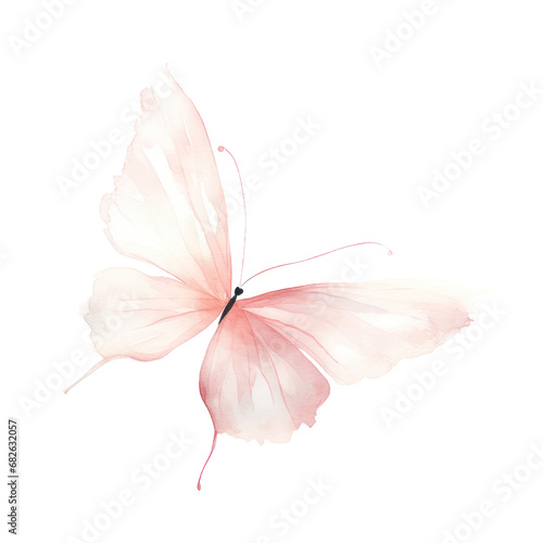 Watercolor illustration of a pink butterfly, Cute character, Isolated on background. photo