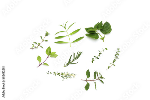 Fresh herbs on white background.