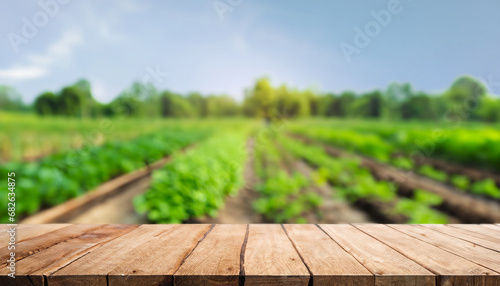 Empty wood table top and blurred green tree and vegetable in agricultural farms. background - can used for display or montage your products.
