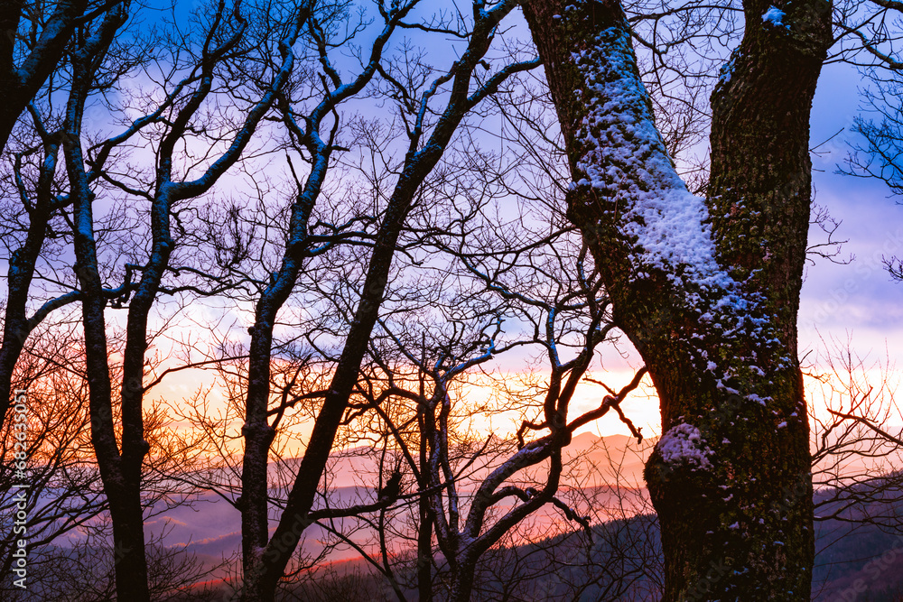 The snow-covered branches of an oak against a mountainous backdrop at sunset in an old growth forest near Blowing Rock, North Carolina The snow-covered branches of an oak against a mountainous backdrop at sunset in an old growth forest near Blowing Rock, North Carolina
