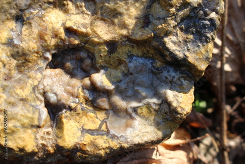 Patterns on wetted stone, flint with veins of quartz and chalcedony