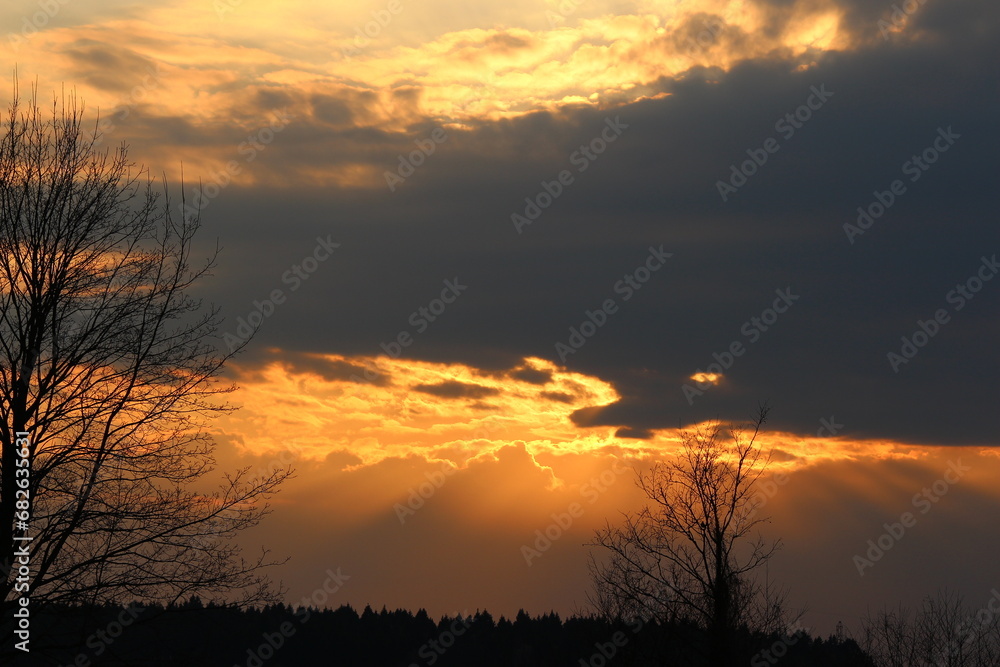 April landscape with trees against a colorful sky April landscape with trees against a colorful sky