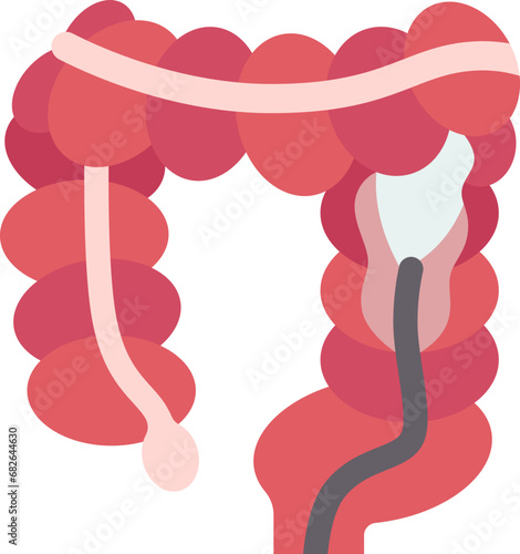 colon  icon