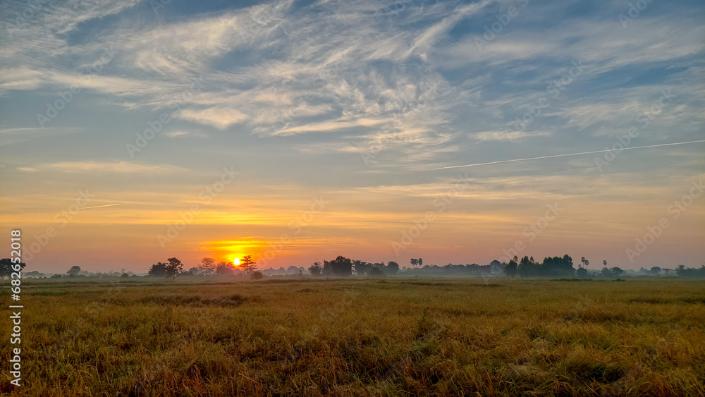 Rice bathed in golden light Morning rice field Rice fields with beautiful golden light Rice bathed in golden light Morning rice field Rice fields with beautiful golden light