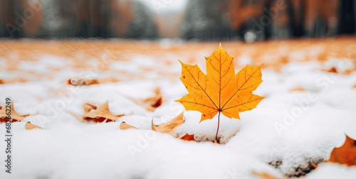 Winter concept with Maple leave in snow scene landscape