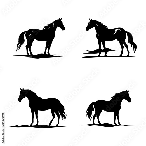 silhouette of a horse © praja