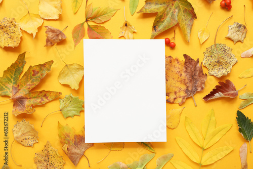 Beautiful autumn compositio...