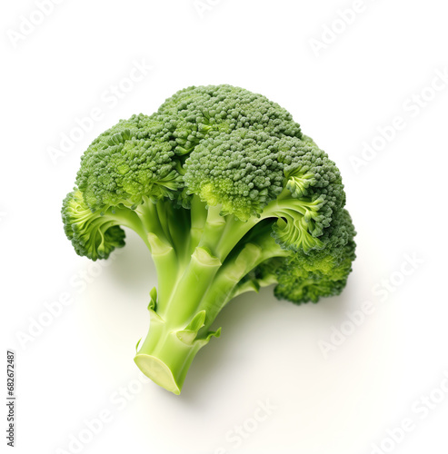 Broccoli isolated on white background, photorealistic illustration