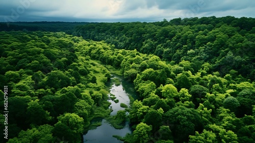 a river surrounded by trees