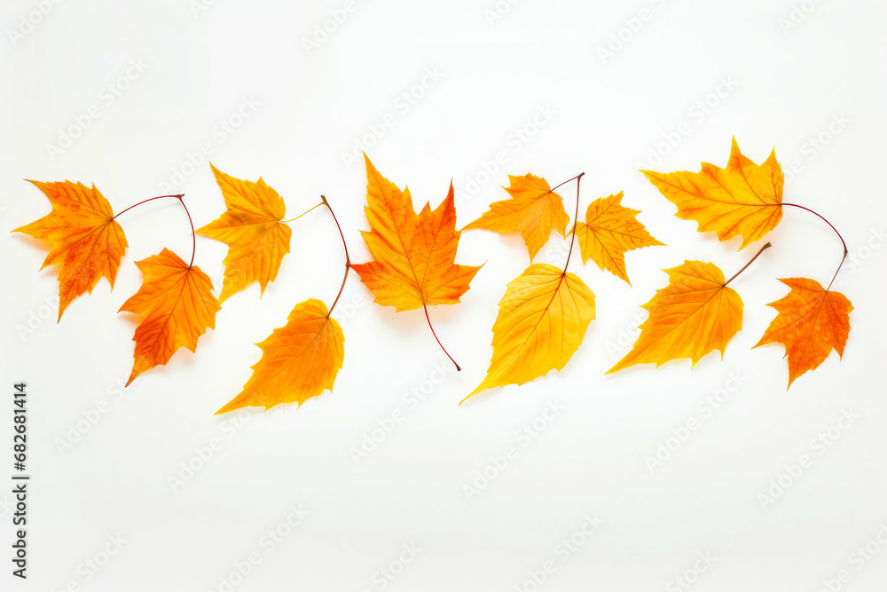 Group of yellow leaves on white background.