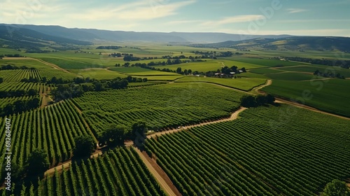 a large green field