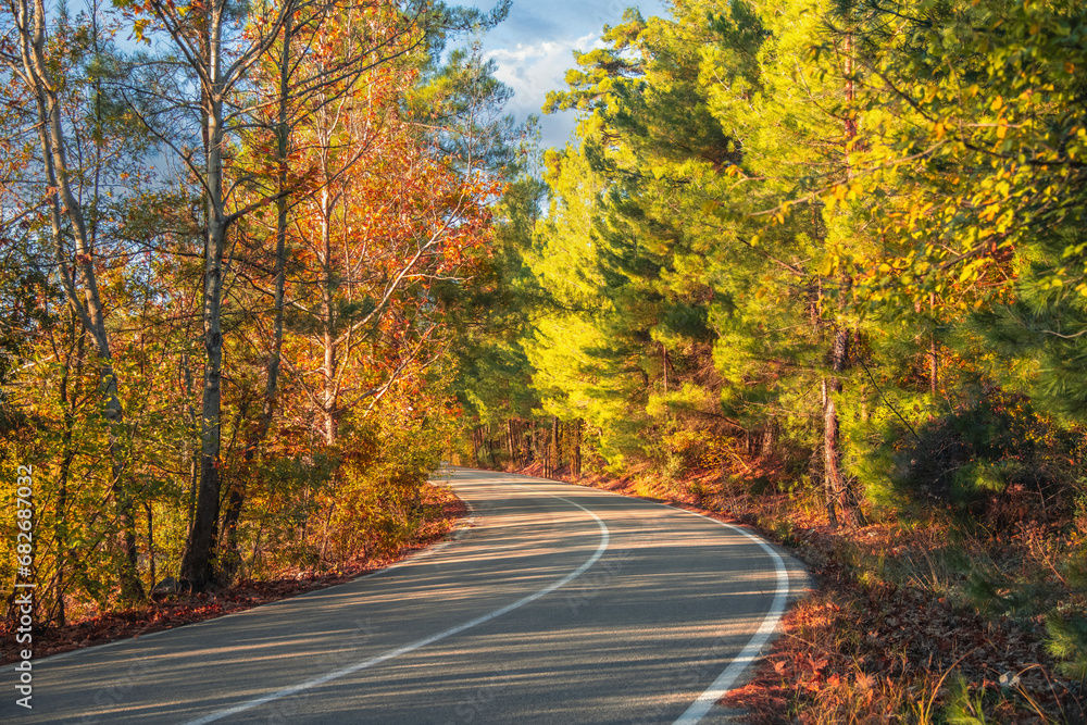 Obraz premium Asphalt road through autumn forest at sunrise