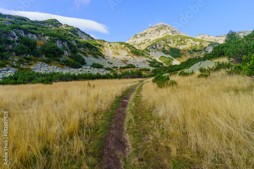 Landscape and footpath, in Pirin National Park