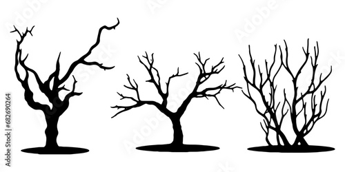 set of vector images of dry tree silhouettes on a white background