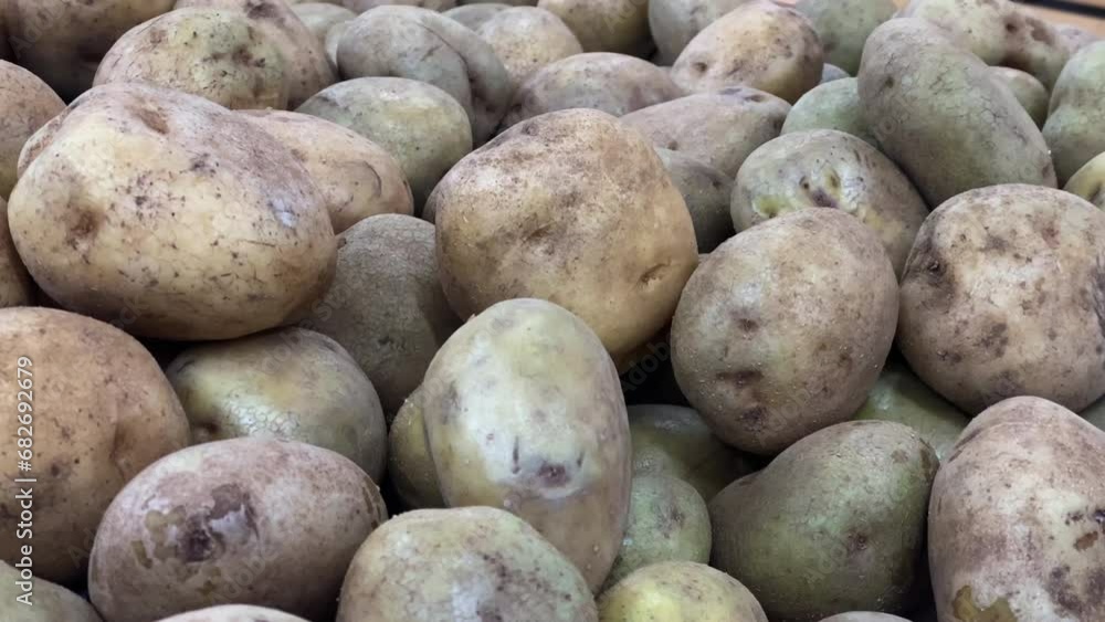the fresh close up detail look of a potato on sale at local market the fresh close up detail look of a potato on sale at local market