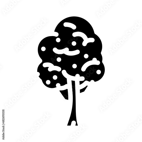 padauk tree jungle amazon glyph icon vector. padauk tree jungle amazon sign. isolated symbol illustration