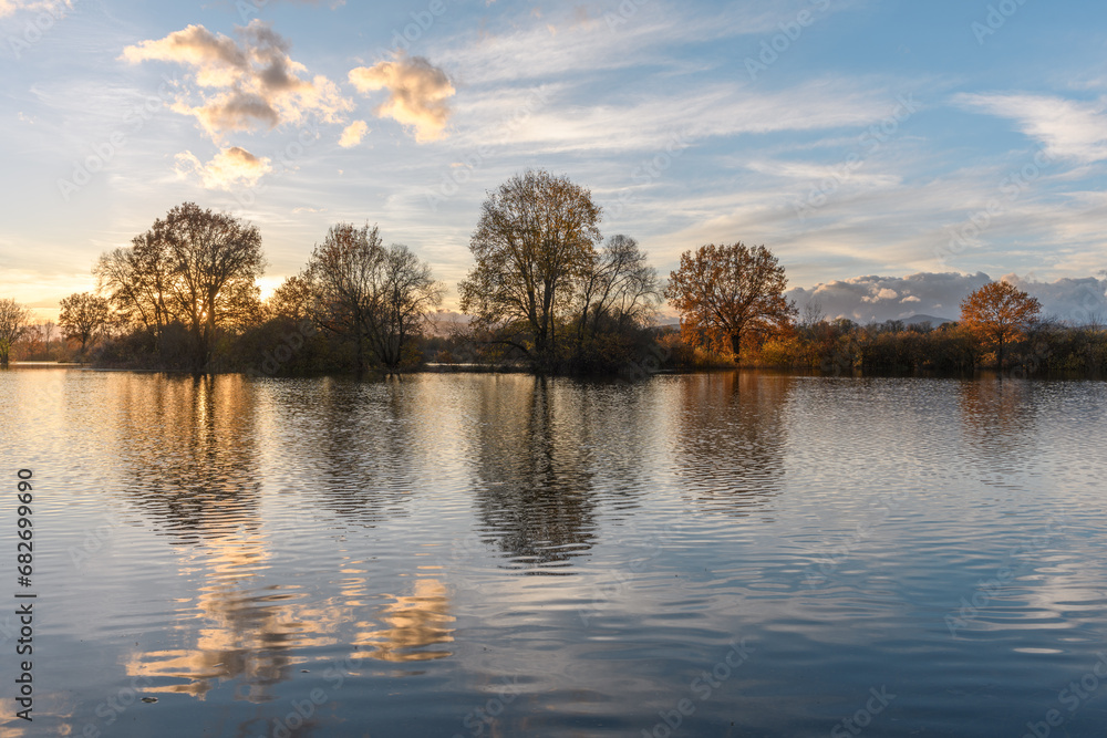 Fototapeta premium Trees reflected in a flooded meadow after heavy rains. Autumn landscape.