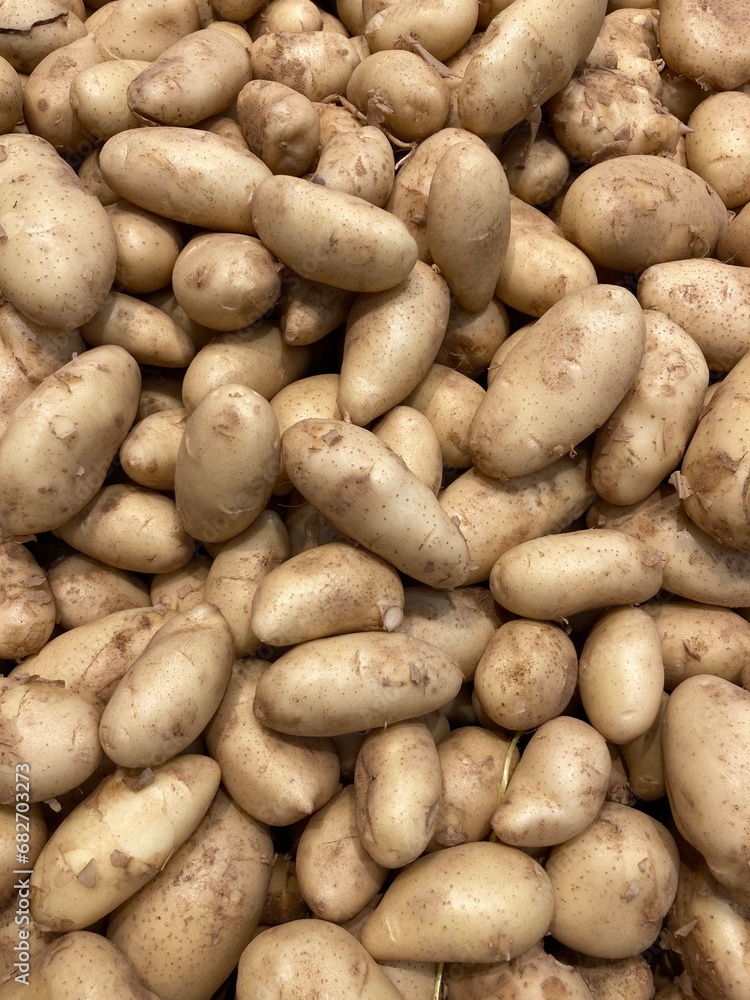 An abundance of fresh organic vegetables potatoes An abundance of fresh organic vegetables potatoes